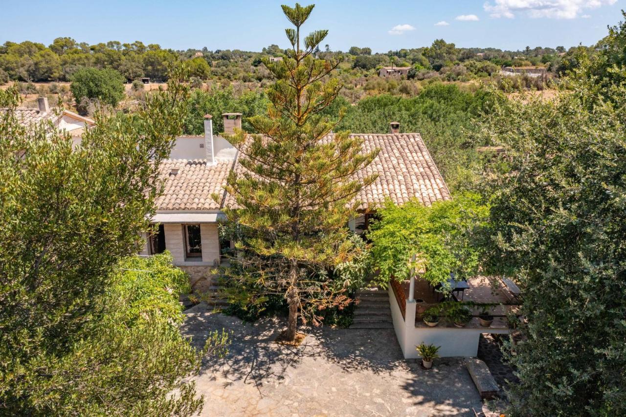 - 39980 Mallorca Sencelles